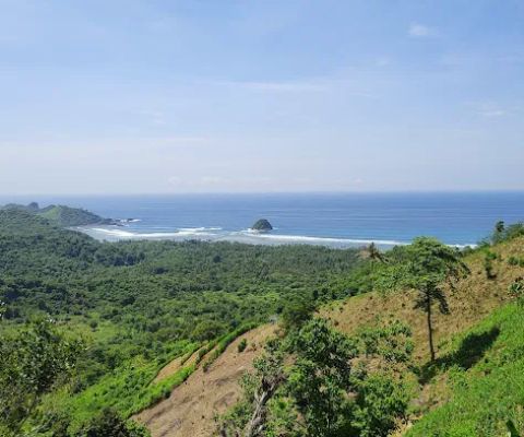 Bukit mekaki