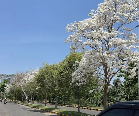 Taman Vivat ITS