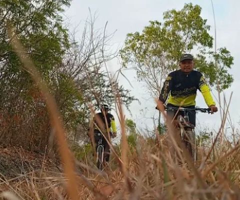 Hutan lindung
