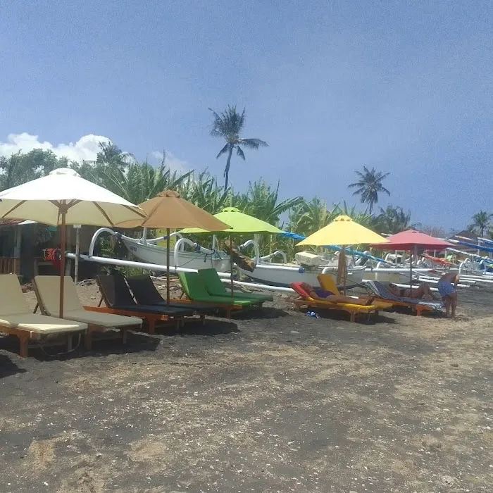 Turtle Point 4