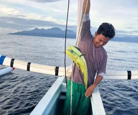 Made's Fish, Snorkel and Sunset Trips