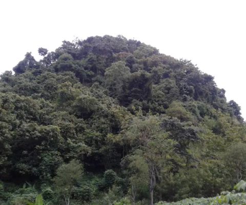 Gunung pertapan mbajo & taman sehati mbajo