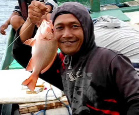 Mata kail besuki