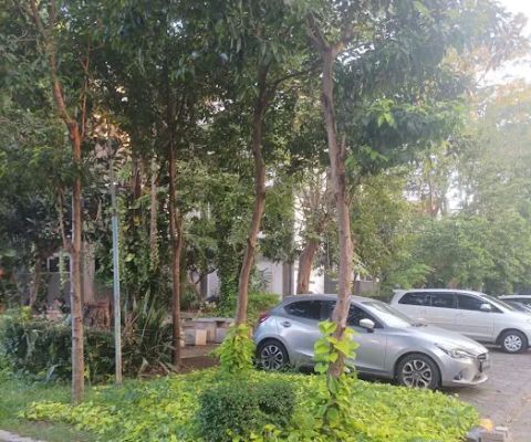Taman Samping Rektorat