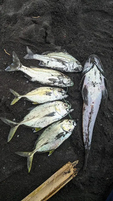 Tanjung Talok 0