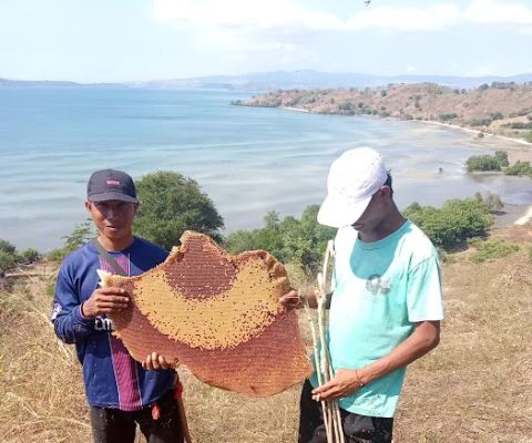 Pantai kaja