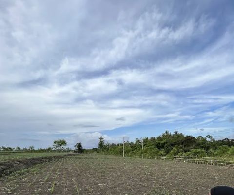GEMPANG SAKA
