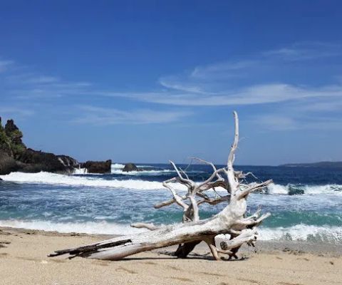 Wisata brang bako