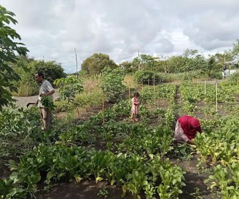 Ladang Mbulan