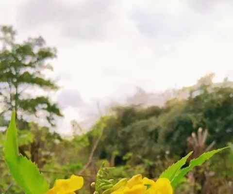 Bali Cycling Trail