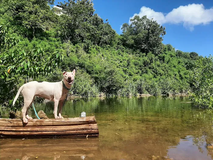 Laguna Kubu 9