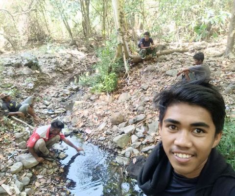 Ai pinang