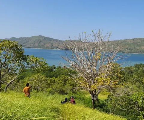 Tanah Kombang TE