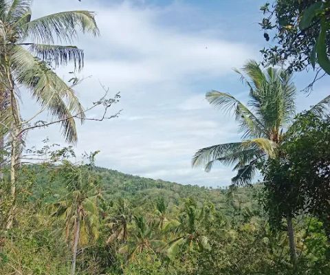 Gunung kantong