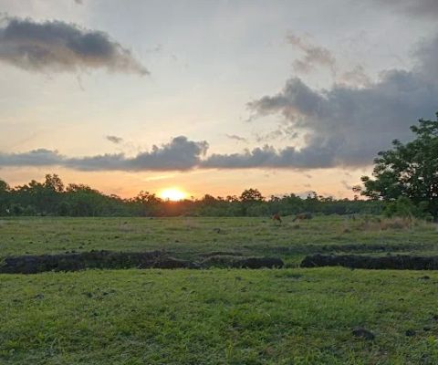 Sepot Poto savana tianyar pilihan