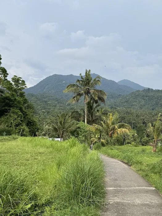 East Bali Bike 1