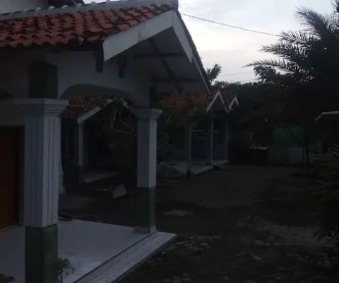 Koeswoyo Kingdom