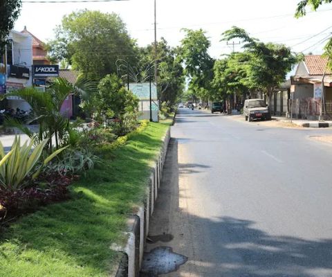 Taman Median Jalan Dewi Sartika Utara
