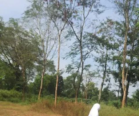 ALUN-ALUN TOAMPAR