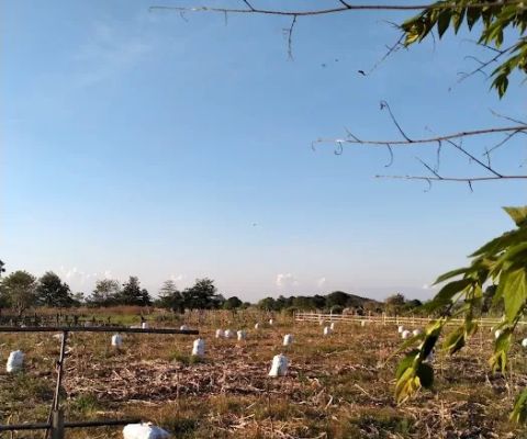 Kebun Einrick