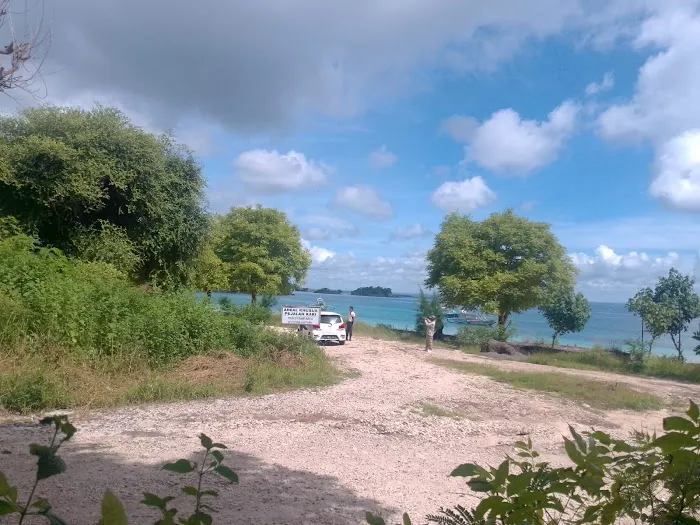 PINK BEACH 1 0