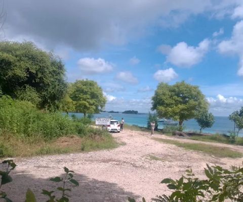 PINK BEACH 1
