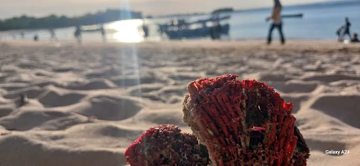 PINK BEACH 1 8