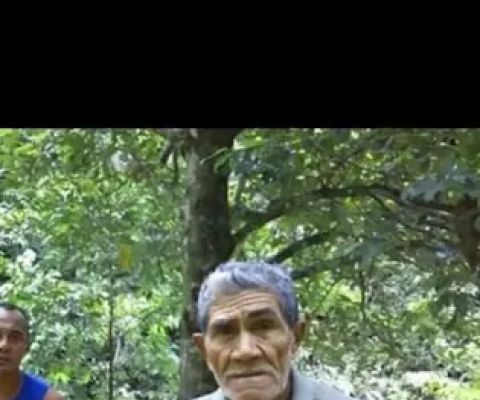 Kebon cengkih Ndawe