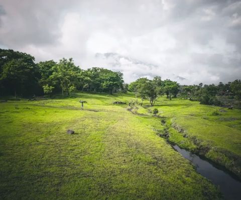 Savana Dukuh