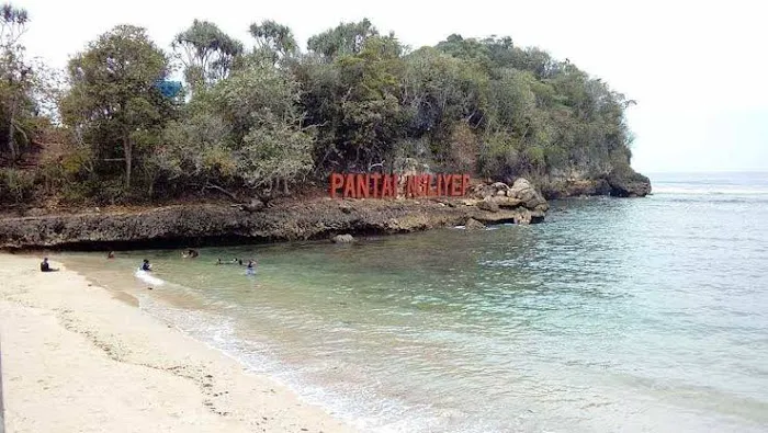 Pendopo Pantai Ngliyep 8