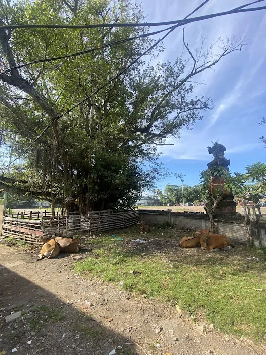 Lapangan lembu 4