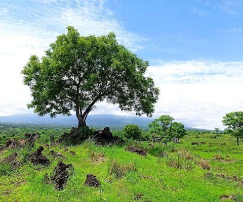 Munduk Cinta Tulamben
