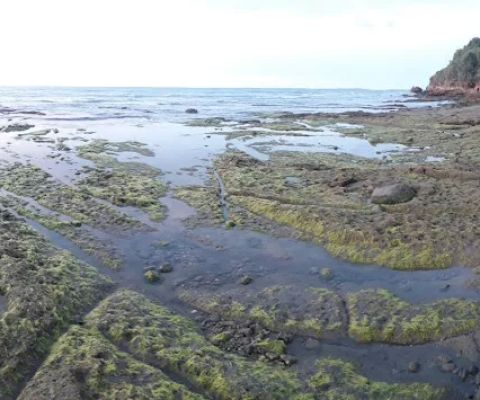 Wisata Alam Goa Lowo Bendo