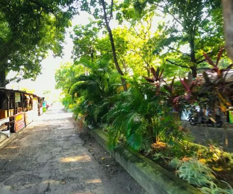 Taman Median Jalan Abiumayu