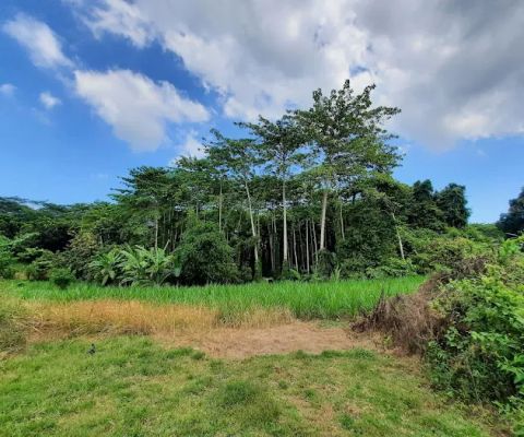 RAINFOREST WEST BALI