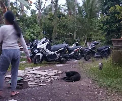Kebun Arya D