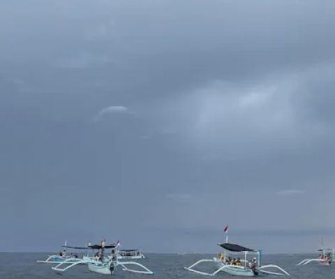 Fish finder