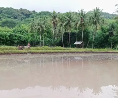 Kbon pak idos