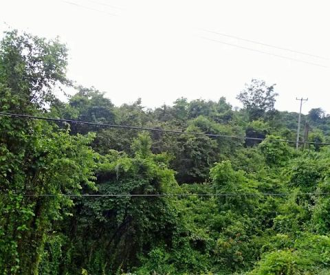 Ujung pagar