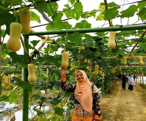Wisata Terpadu Bhurunan Pademawu