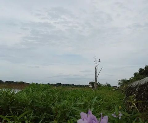 Dukuh Sawah
