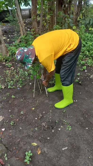 Pohon Randu RT 03 1