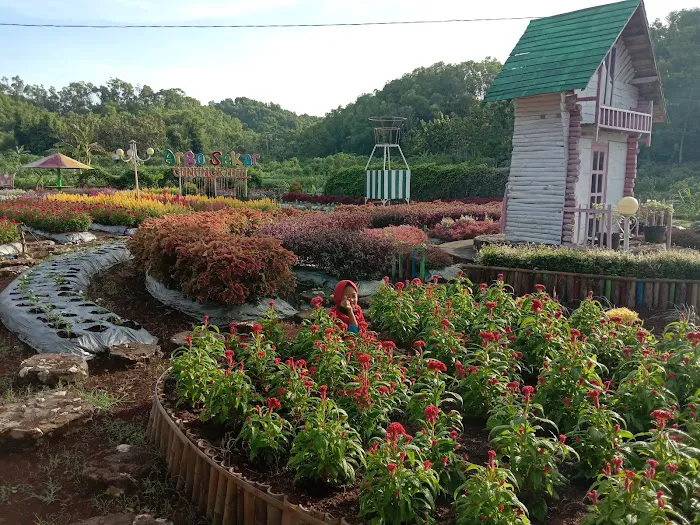 Taman Bunga Celosia 0