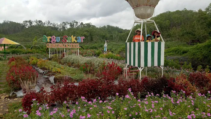 Taman Bunga Celosia 3