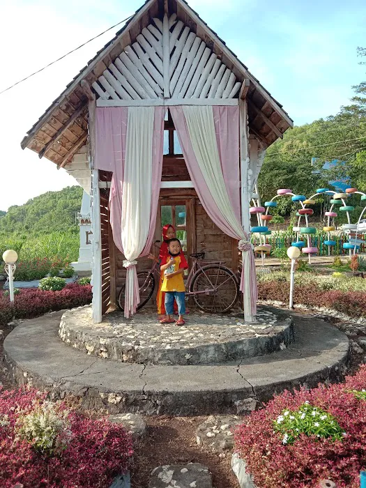 Taman Bunga Celosia 2