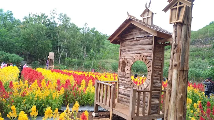 Taman Bunga Celosia 8