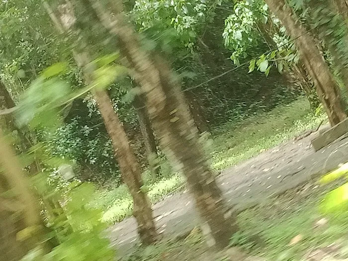 Gunung Bumbang 3