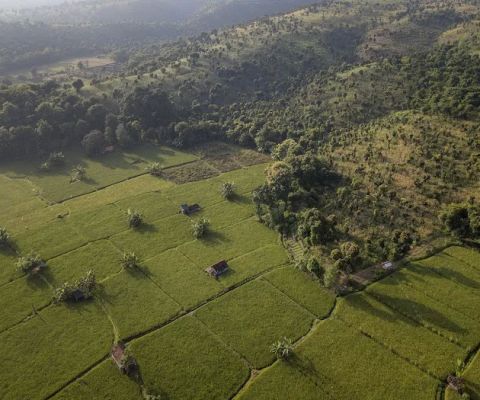 Bukit Koneng