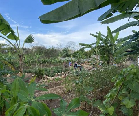 The Garden of Abundance
