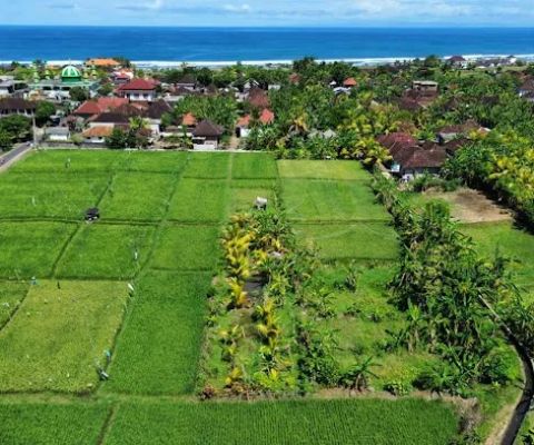 Tempat makan